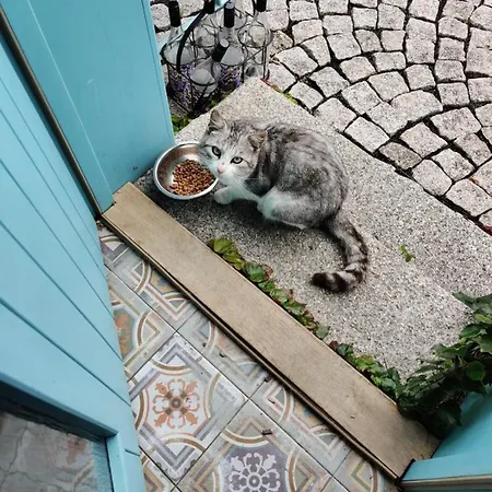 Apartman Dum Na Navsi